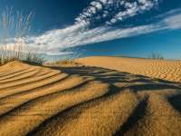 Szaharai világot idéző homokdűnék, avagy a csodás Fülöpházi-homokbuckák