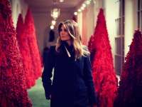 Az Első Asszony fája - karácsonyfák a Fehér Házban