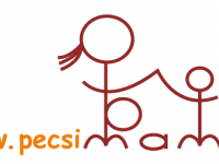 Pécsi és Baranya megyei optikák